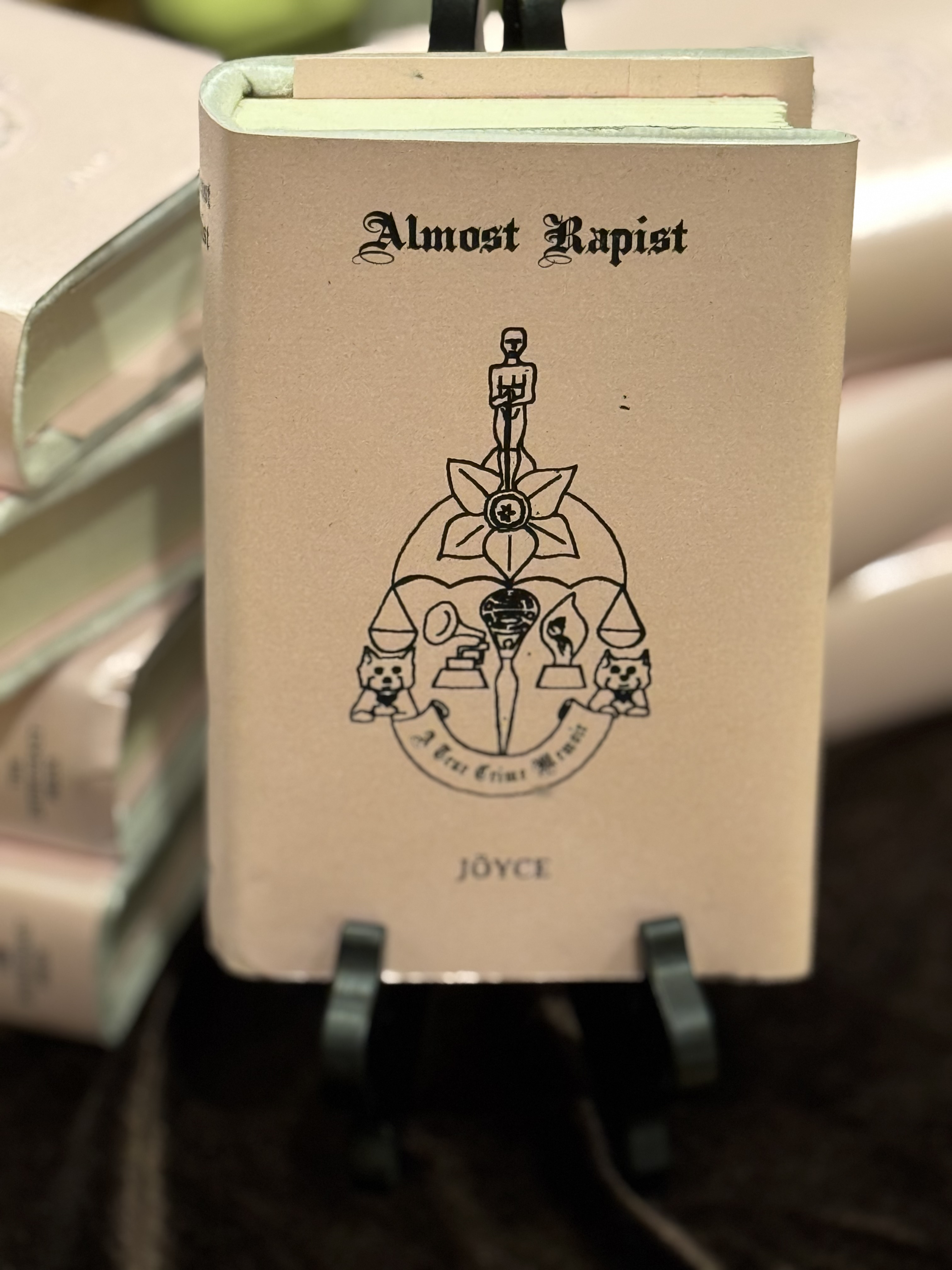 Almost Rapist, a novel by JOYCE.