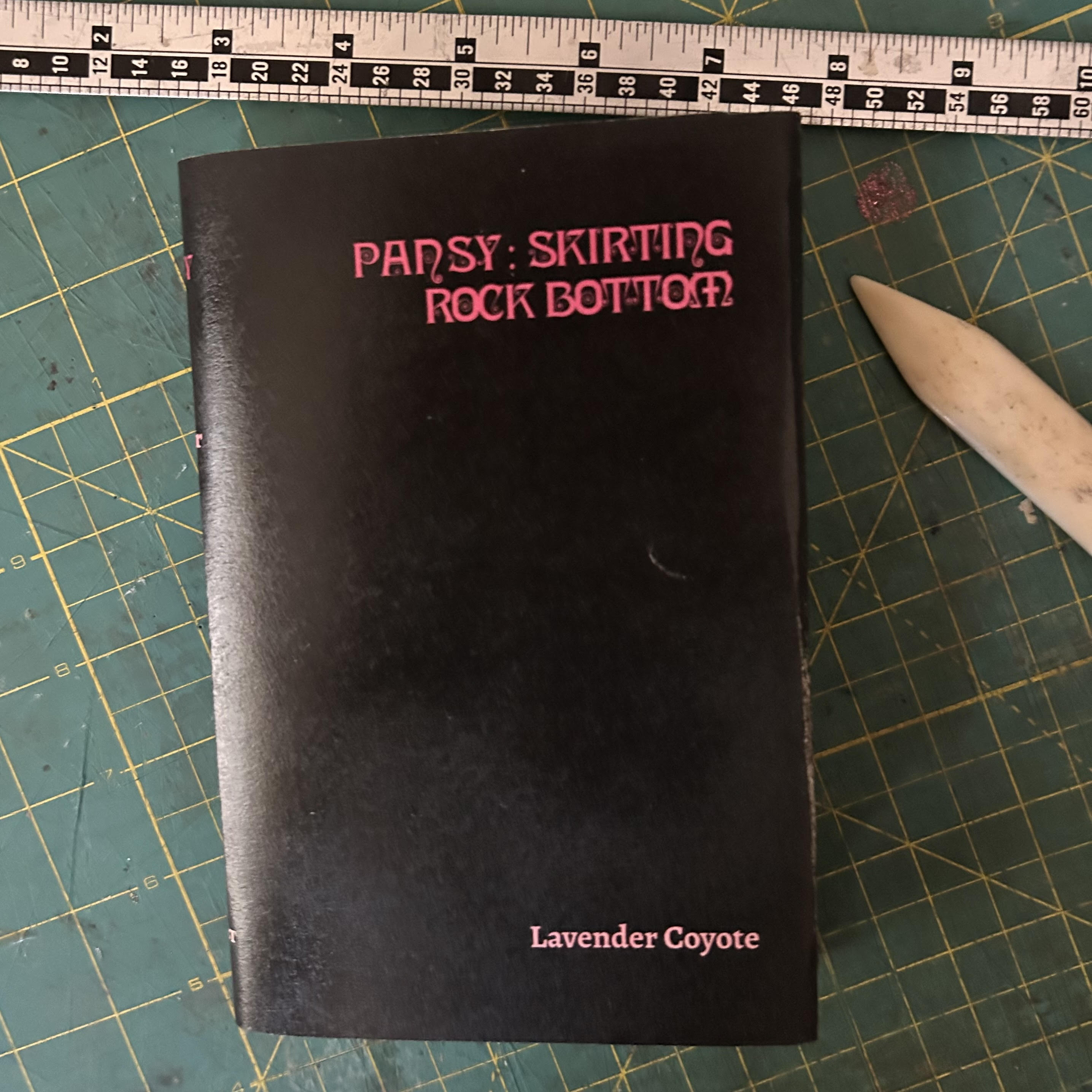 Pansy, a short story collection by Geoffrey Bridgman.